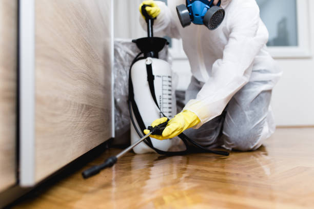 Best Cockroach Control Services  in Abram, TX