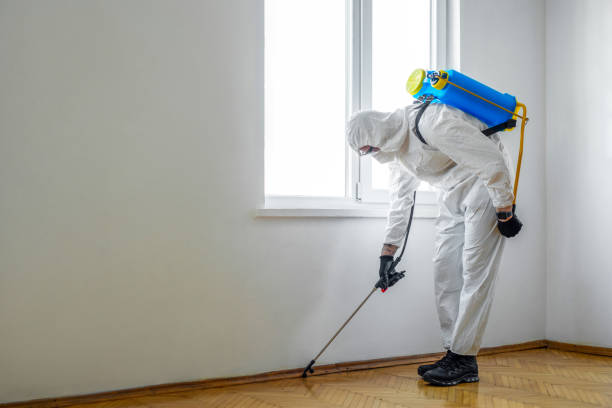 Wasp Removal Services in Abram, TX