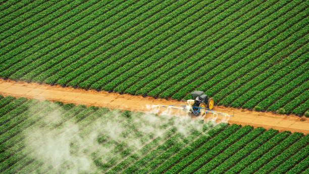 Best Pest Inspection Near Me  in Abram, TX