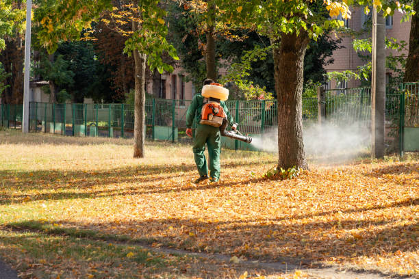 Best Residential Pest Control  in Abram, TX