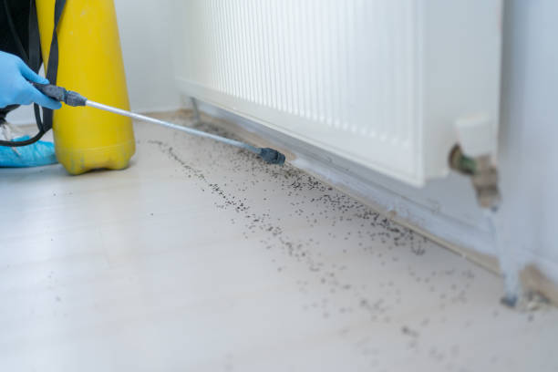 Best Exterminator Services  in Abram, TX